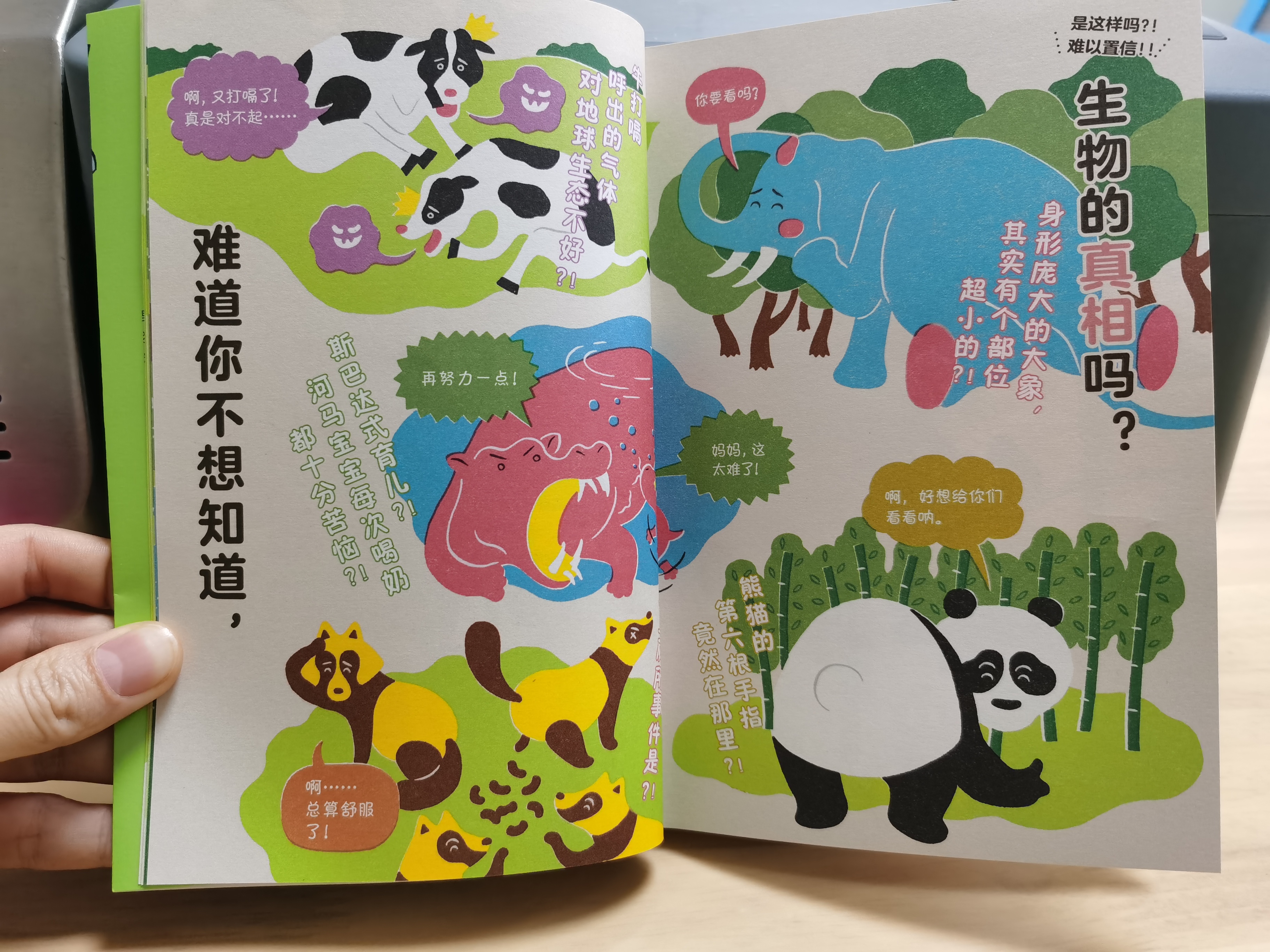 熊猫有几条腿是四条还是两条,你知道熊猫有几根脊椎骨吗