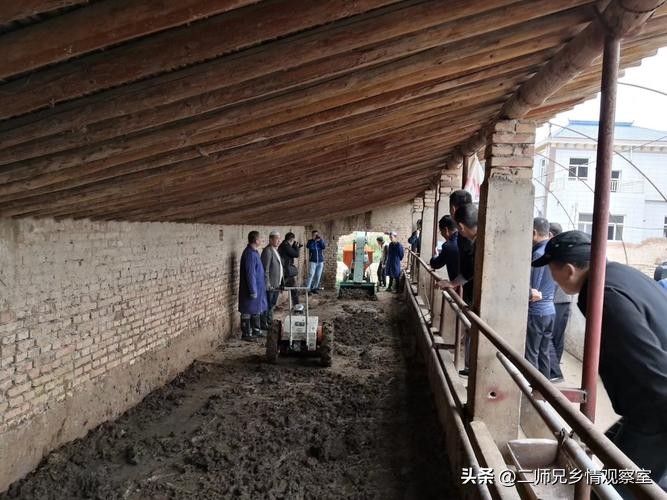 陕西畜牧业养殖补贴政策,畜牧业养殖补贴需要什么部门负责