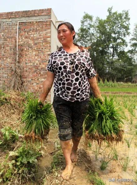 父亲娶了后妈后该怎么办,父亲娶了个小20岁后妈