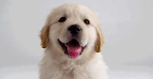 有人@你，@到底怎么读？说“艾特”老外可听不懂哦