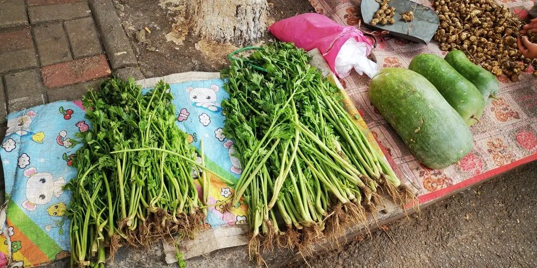 两串葡萄568元,街上叫卖20元一箱的葡萄