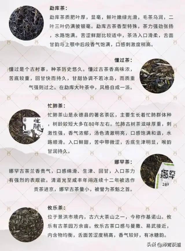 云南34个名山头普洱茶特点及2023云南普洱茶各名产区春茶价格预测