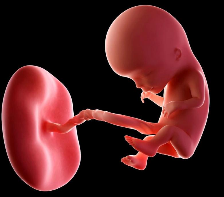 “已故”DNA疯狂求生，借用孪生姐妹的身体，还替她生下3个孩子