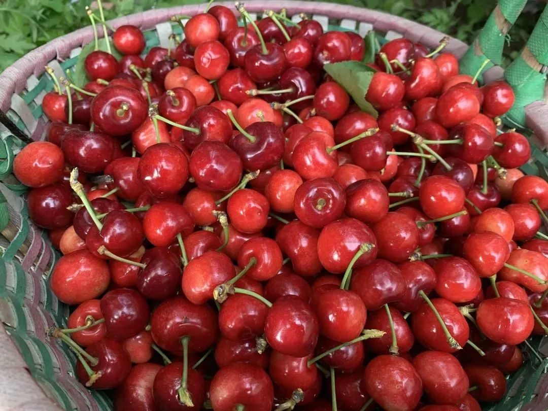 汶川旅游景点十大排行榜,四川旅游推荐汶川