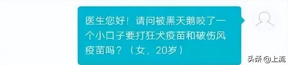 被黑天鹅打得措手不及,学校黑天鹅被学生拿
