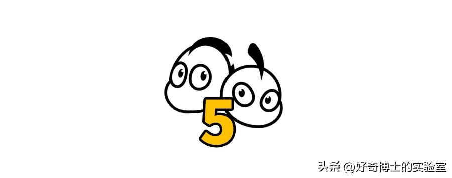 沉浸式体验出殡,详细观察遗体火化