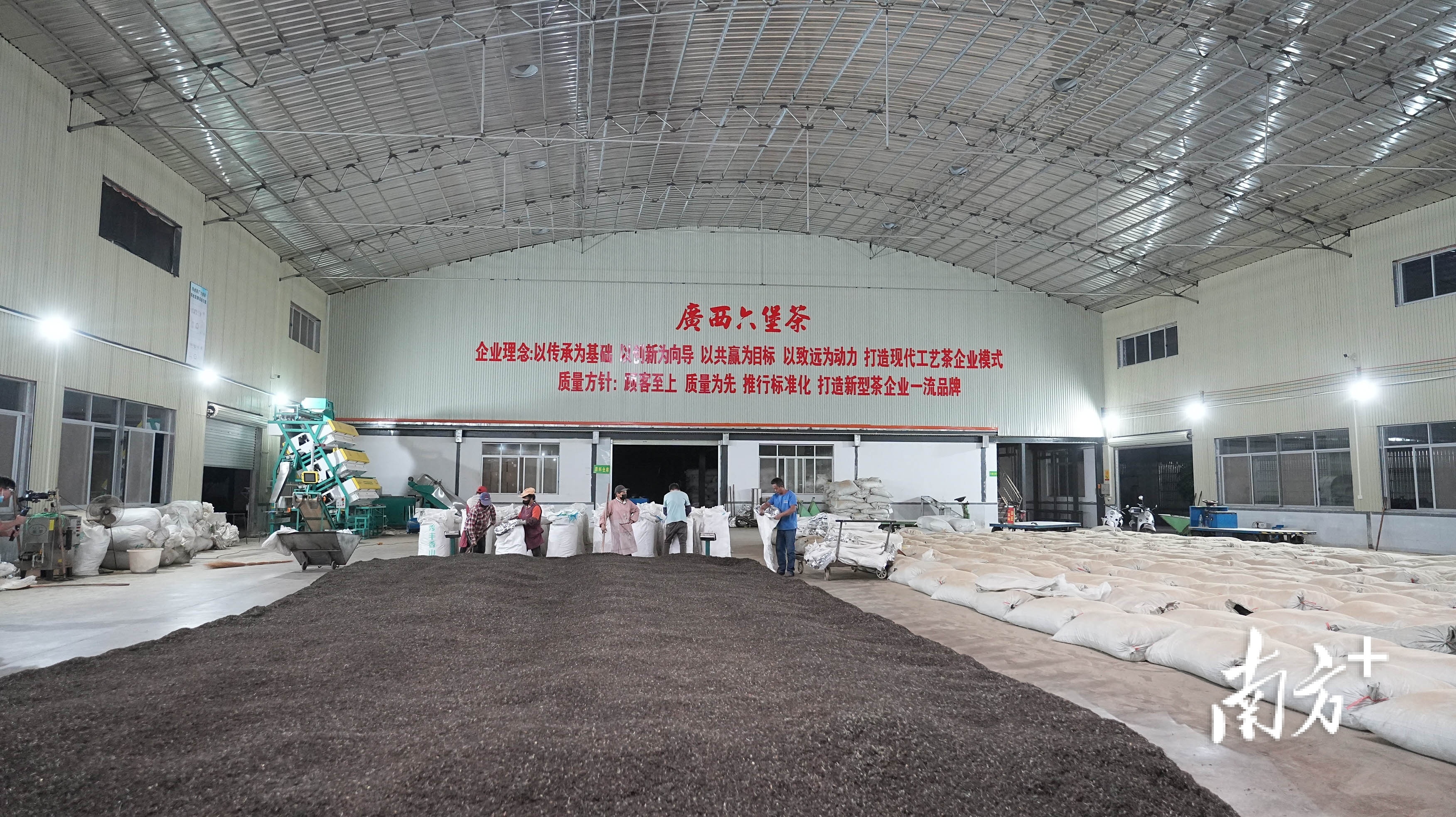 遇见横州：好一朵美丽的茉莉花｜中国十大茶王评比实地考察②