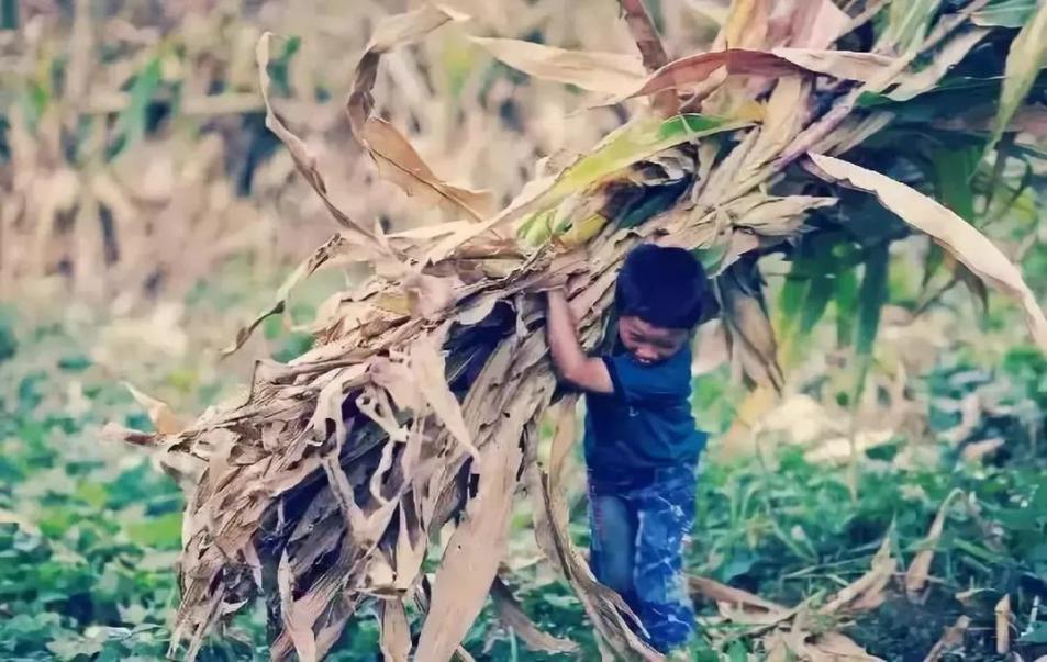 10年前为了苹果手机卖肾的男孩,10年前卖肾男孩现状