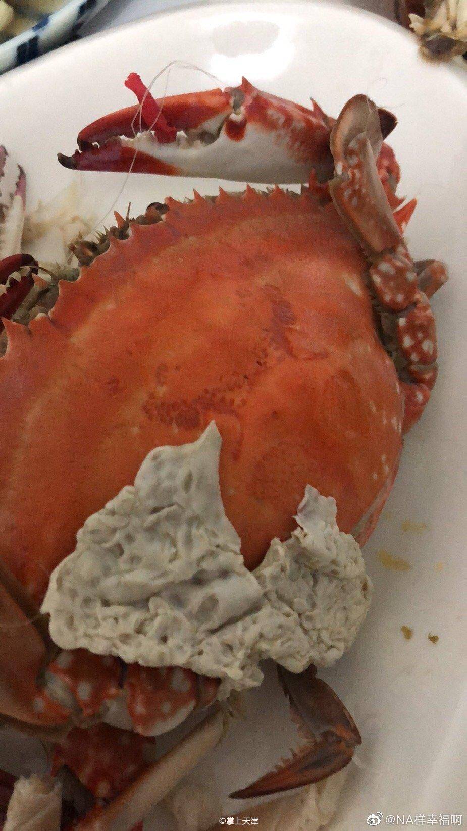 买螃蟹总被坑,买螃蟹被坑了