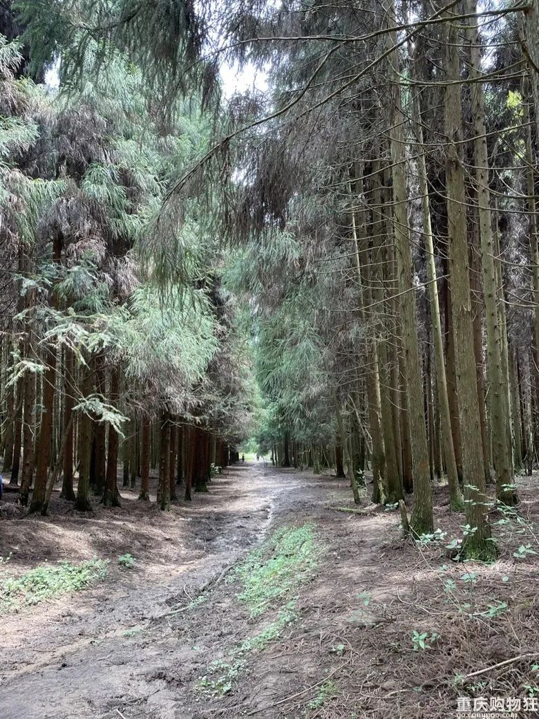 小长假旅游景点大全,夏季周边旅游美食之旅