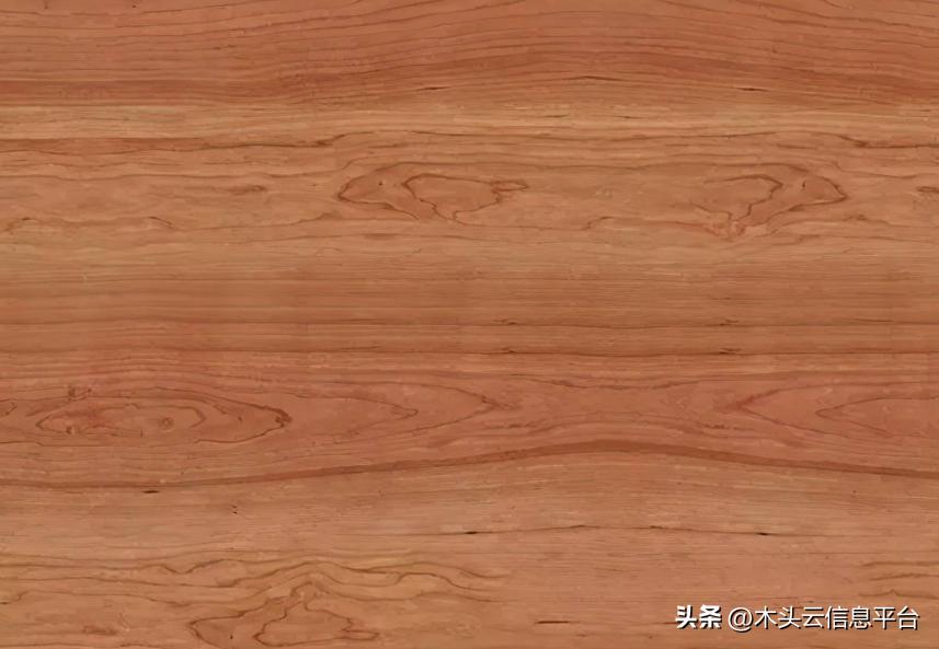 什么硬木材适合做家具,有哪些一般木头可制成家具