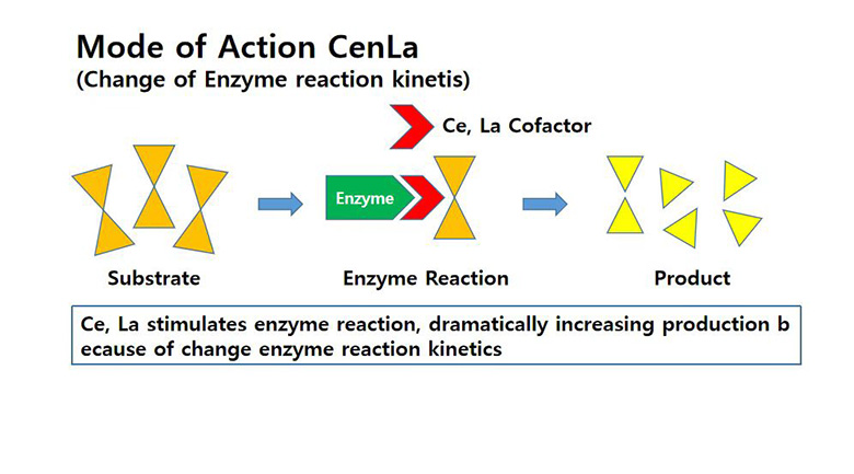 如何防治鸡坏死性肠炎?