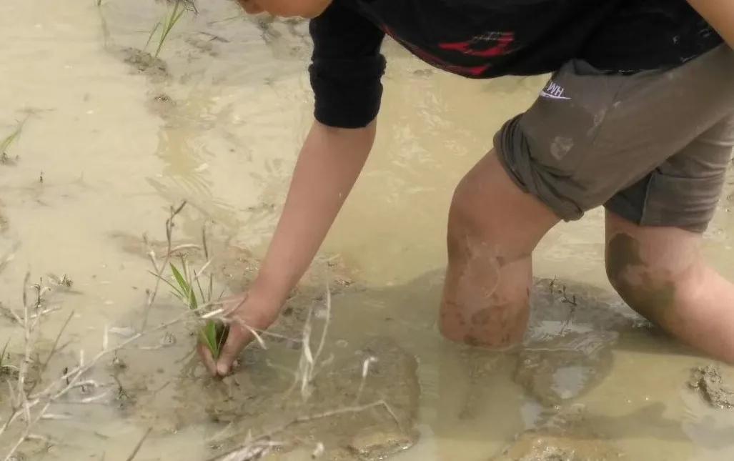 小学生放学先写作业还是先运动,放学时先写作业还是先玩耍