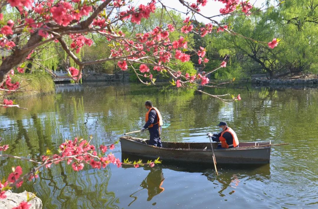 西城印象西平县,西城印象二期