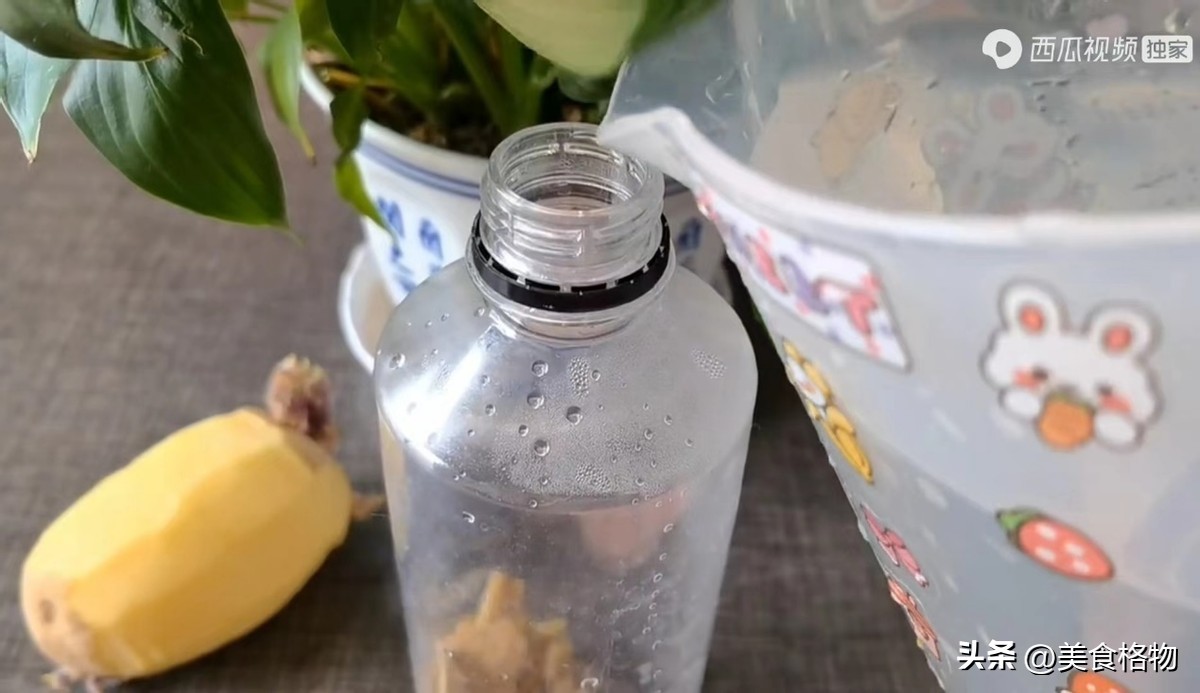 花盆里撒一把什么花都好养,花盆里埋一勺它养花一年不用施肥