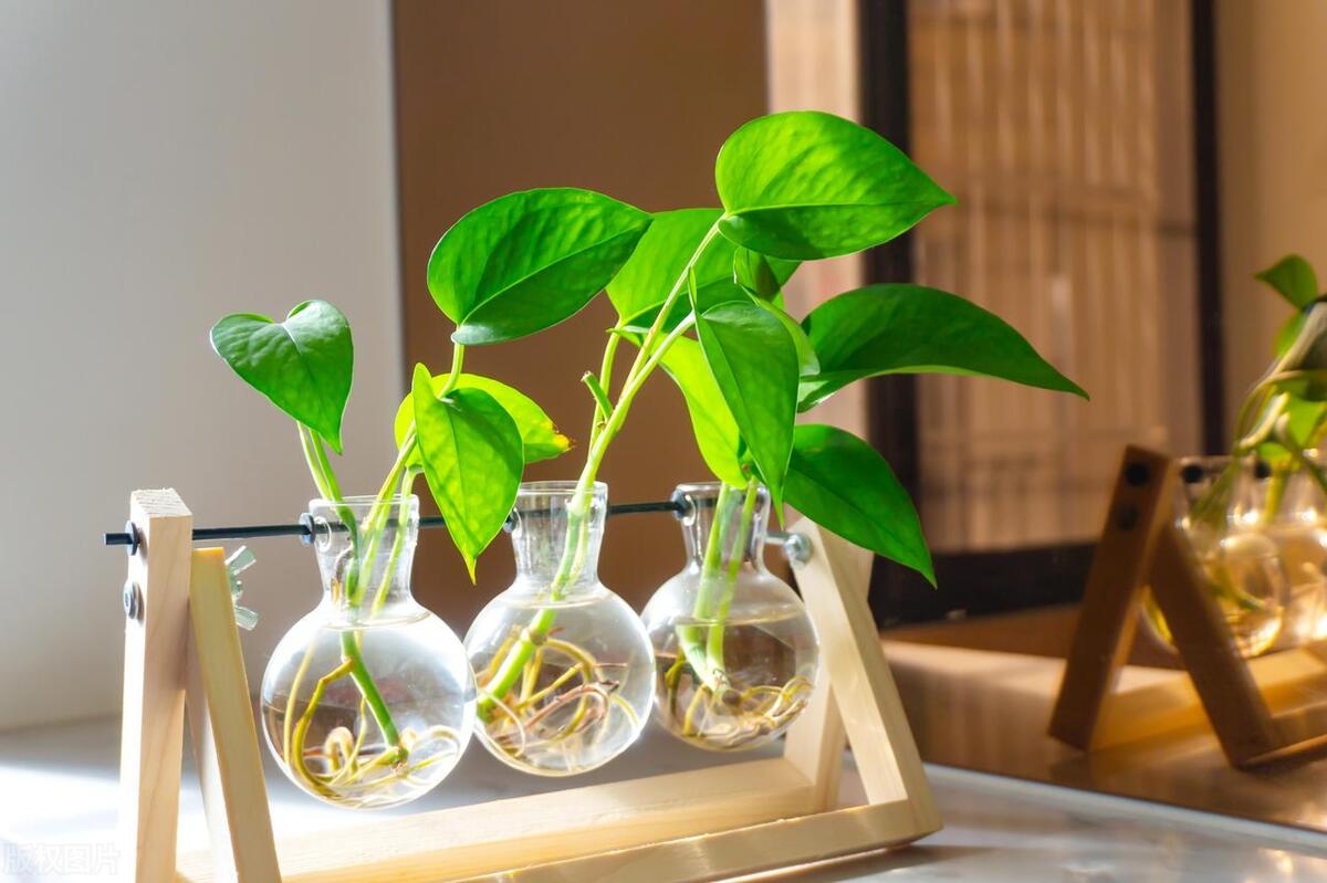 为人处世最怕碰到会算计的人,遇到算计自己的人怎么处理