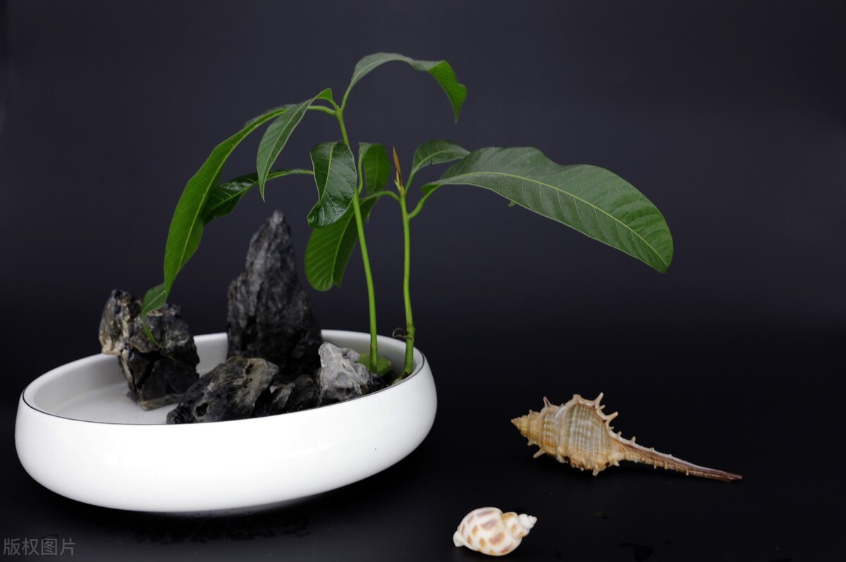 第一章留守儿童遭遇恶奴