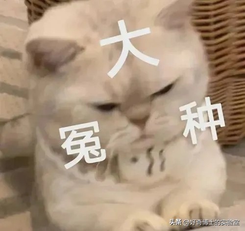 央视曝光毒衣服怎么降低毒性,央视曝光的毒衣服有婴幼儿的吗