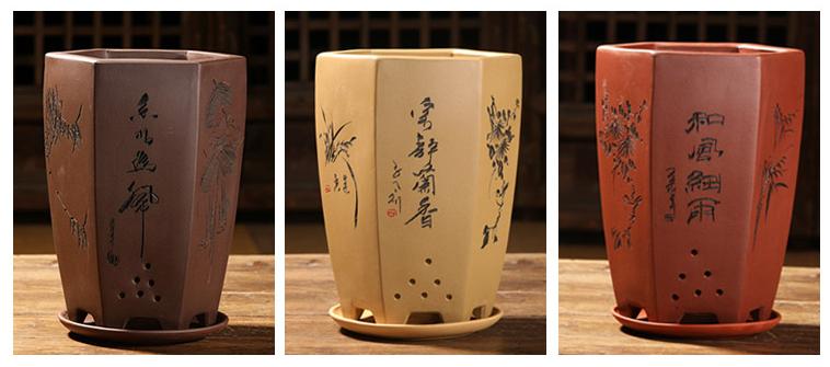 你给花草安的“家”舒心吗？