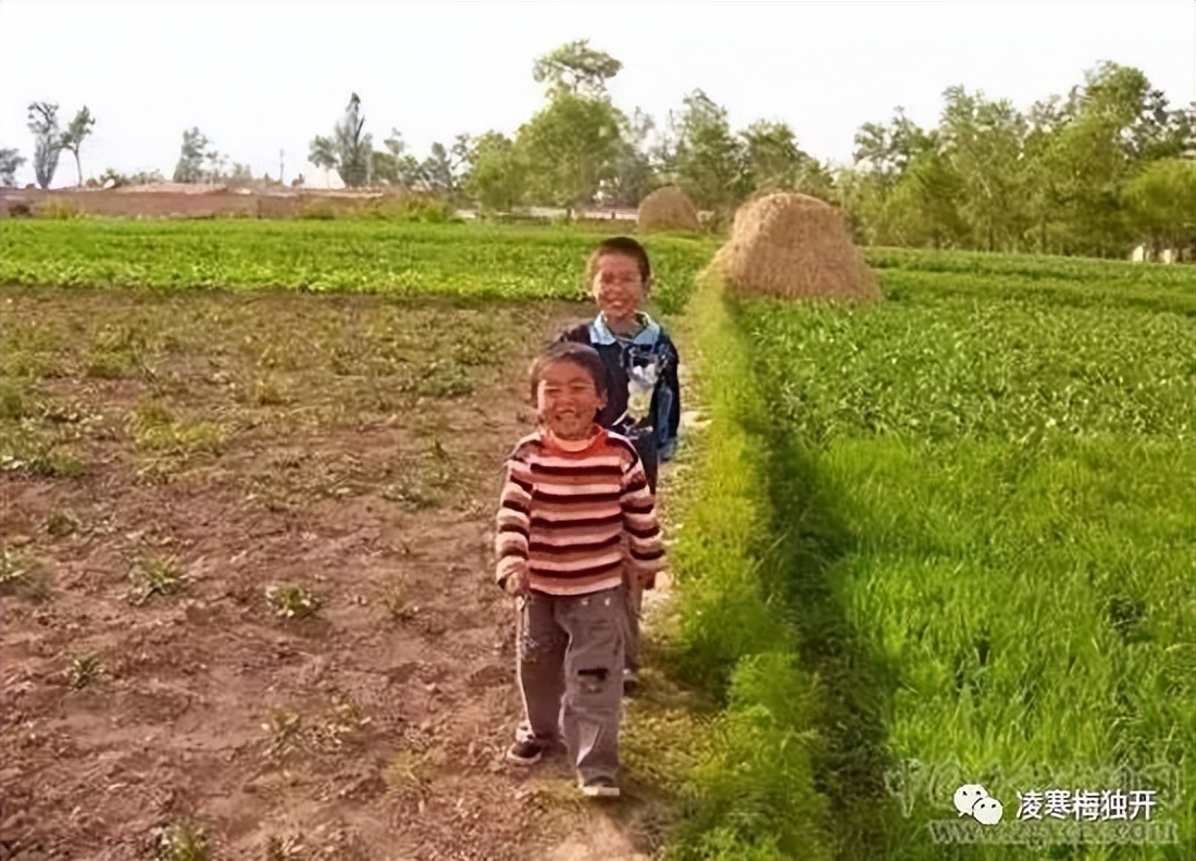 我的奇趣岁月——小学