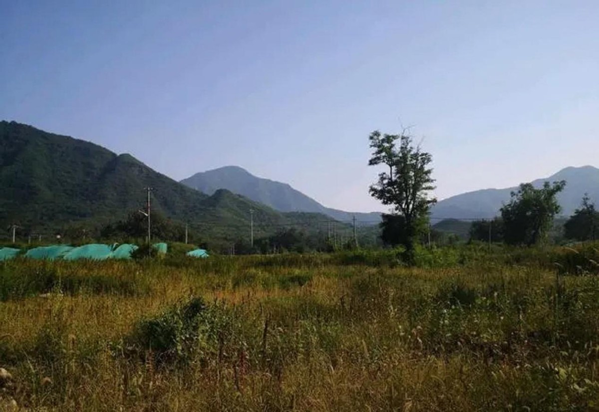 辽宁一男生被驾校女教练猥亵，*体下**受伤后说：那个女人像疯狗