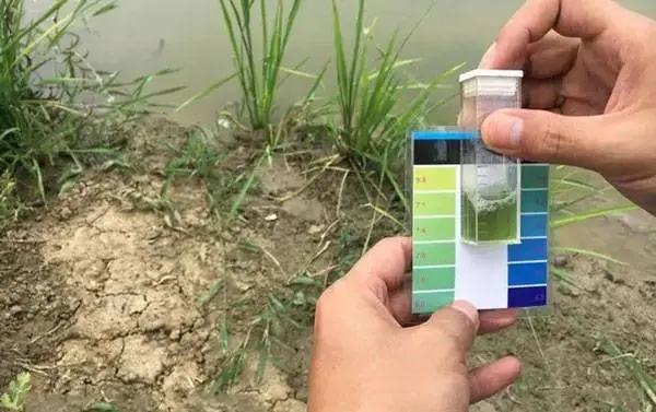 精油的毒性,微生物制剂在对虾应用