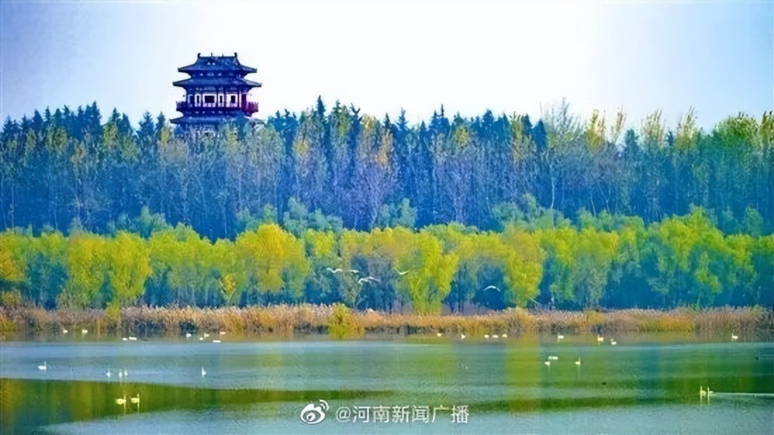 下周一启用，郑州新添一客运站/更名新建！河南最新公示4所大学/520恰逢周六，多地婚姻登记处“不打烊”