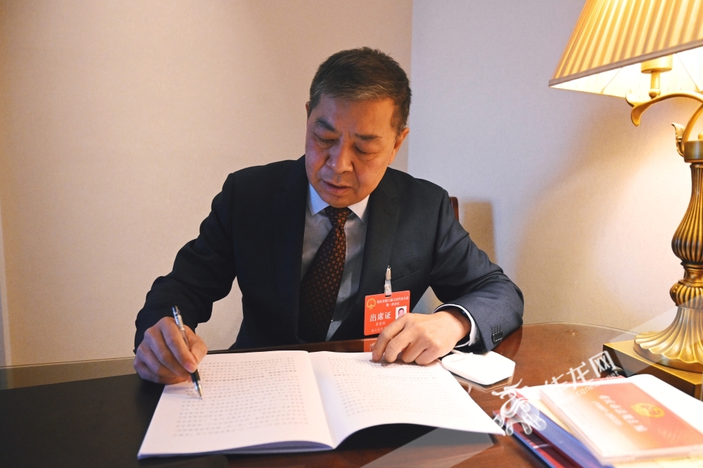 评论代表建议更好助力新重庆建设,重庆两会发展规划