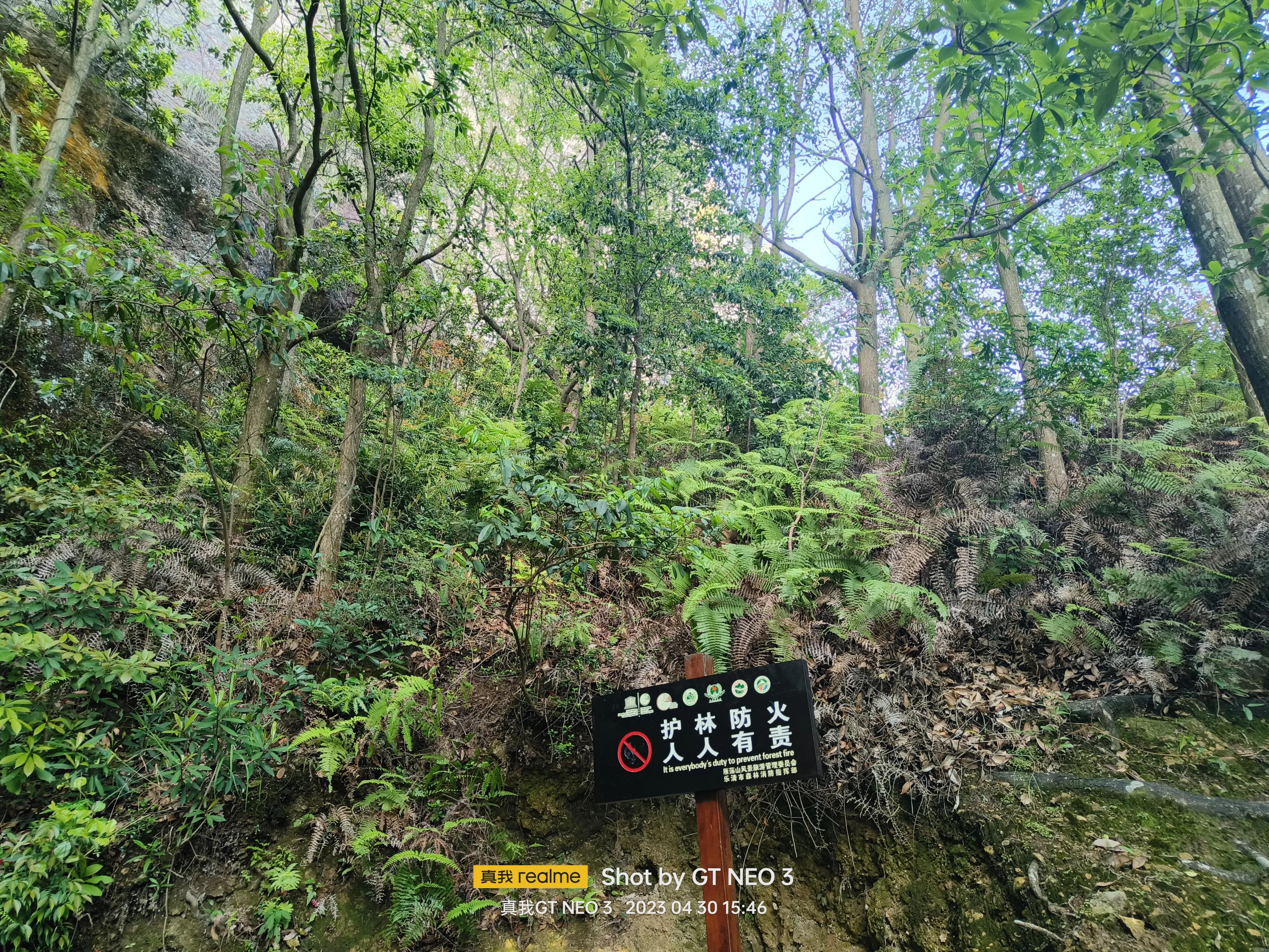 雁荡旅游日,雁荡二日游亲子