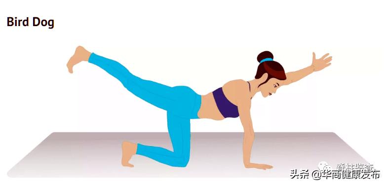 如何锻炼腰部力量改善腰痛问题,如何锻炼腰部力量改善腰痛图