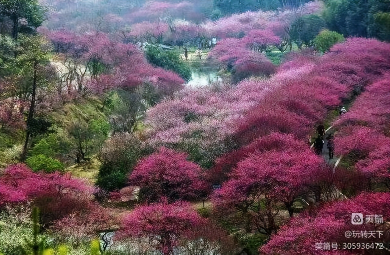 安吉竹海自驾游攻略一日游,安吉竹海旅游攻略二日游
