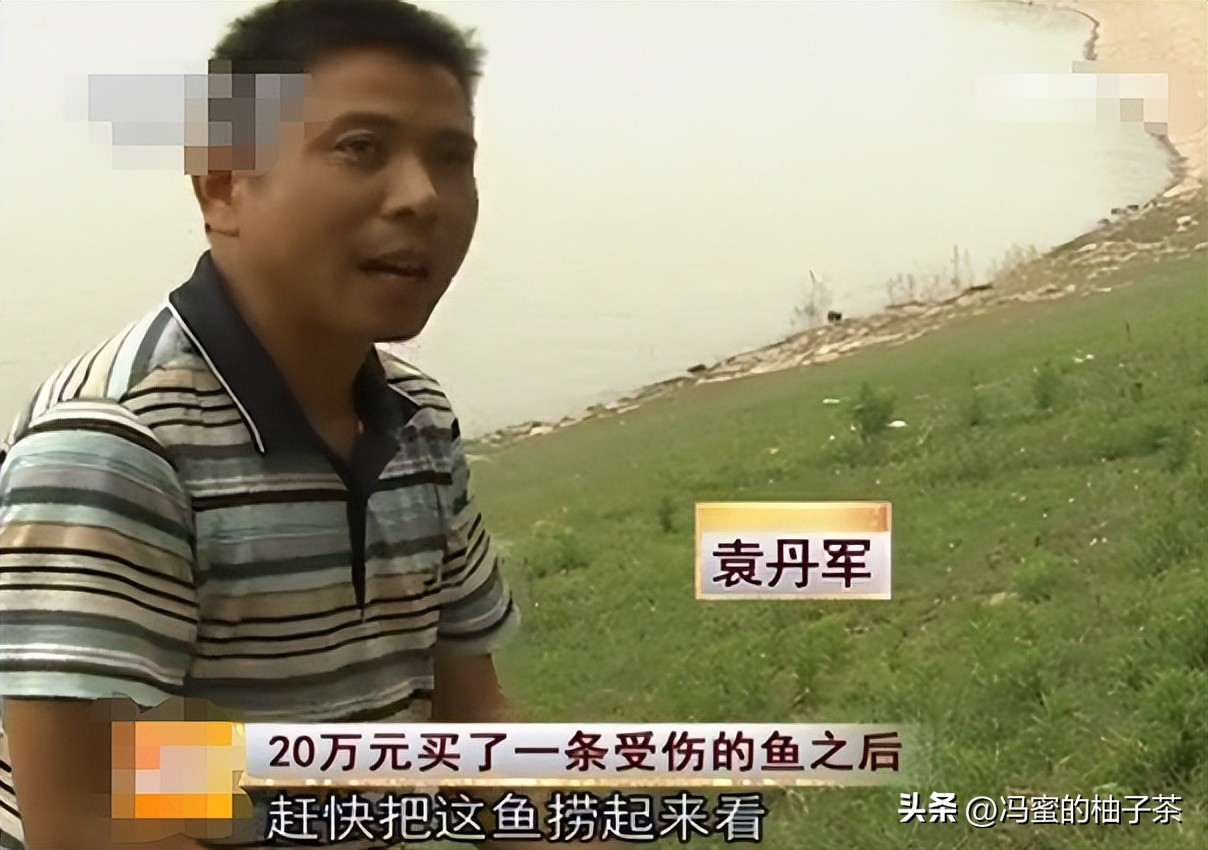 男子花13万买的鱼因停电缺氧死亡,男子花20万买一条受伤鲶鱼后续