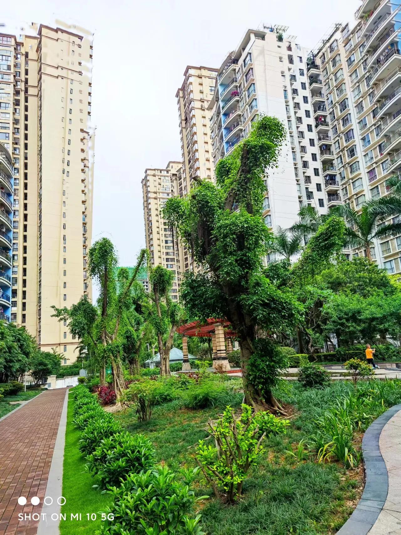 平淡之中见真情的下一句是什么,平淡见真情下一句