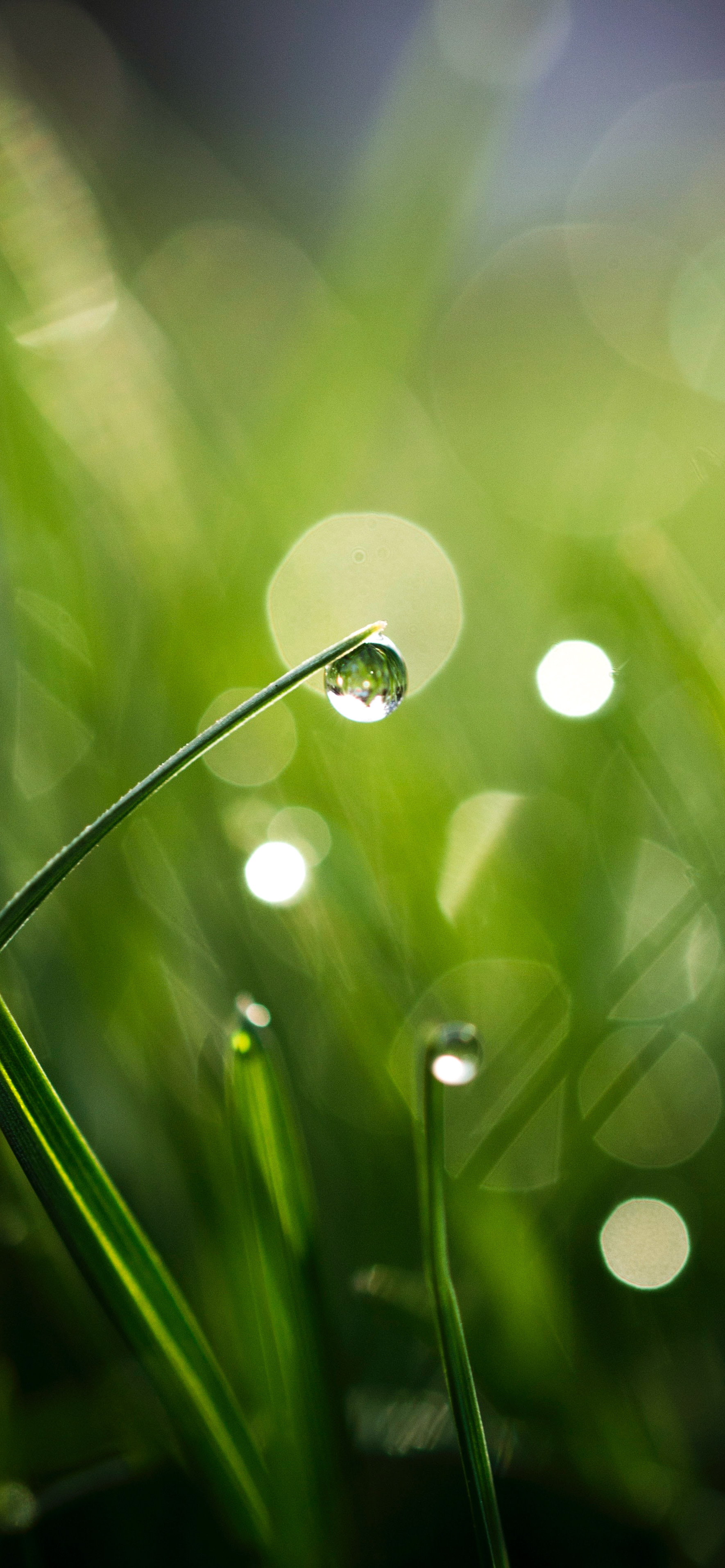 壁纸护眼好看的高清壁纸,华为壁纸绿色护眼图片大全高清