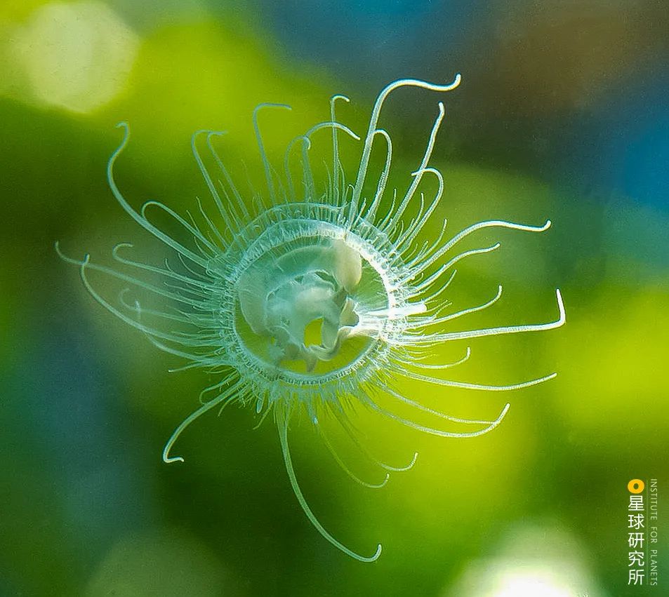 施秉云台山,焦作云台山