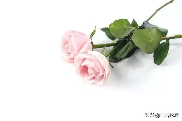 特级教师于漪办教育是为了什么,教育专家于漪谈教育