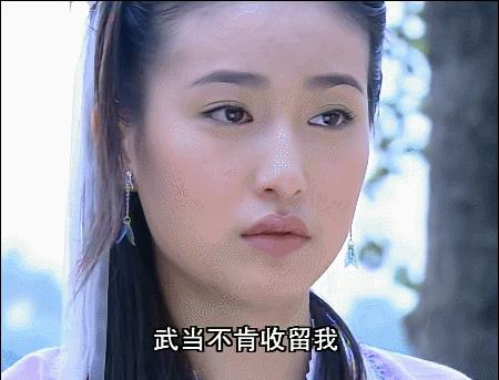 杨不悔黎姿,八版杨不悔