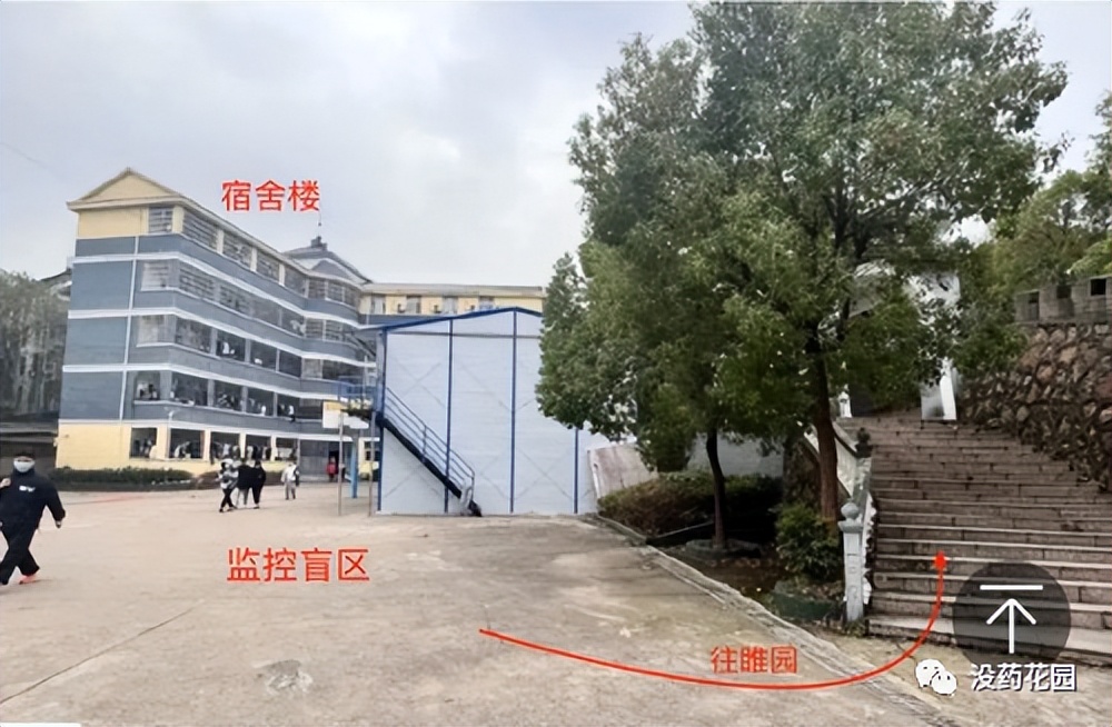 胡鑫宇死亡案例事件,胡鑫宇死亡案最真实的情况