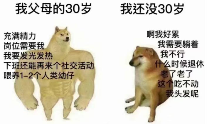 七匹狼腰带搞笑视频,被七匹狼打是一种什么感觉