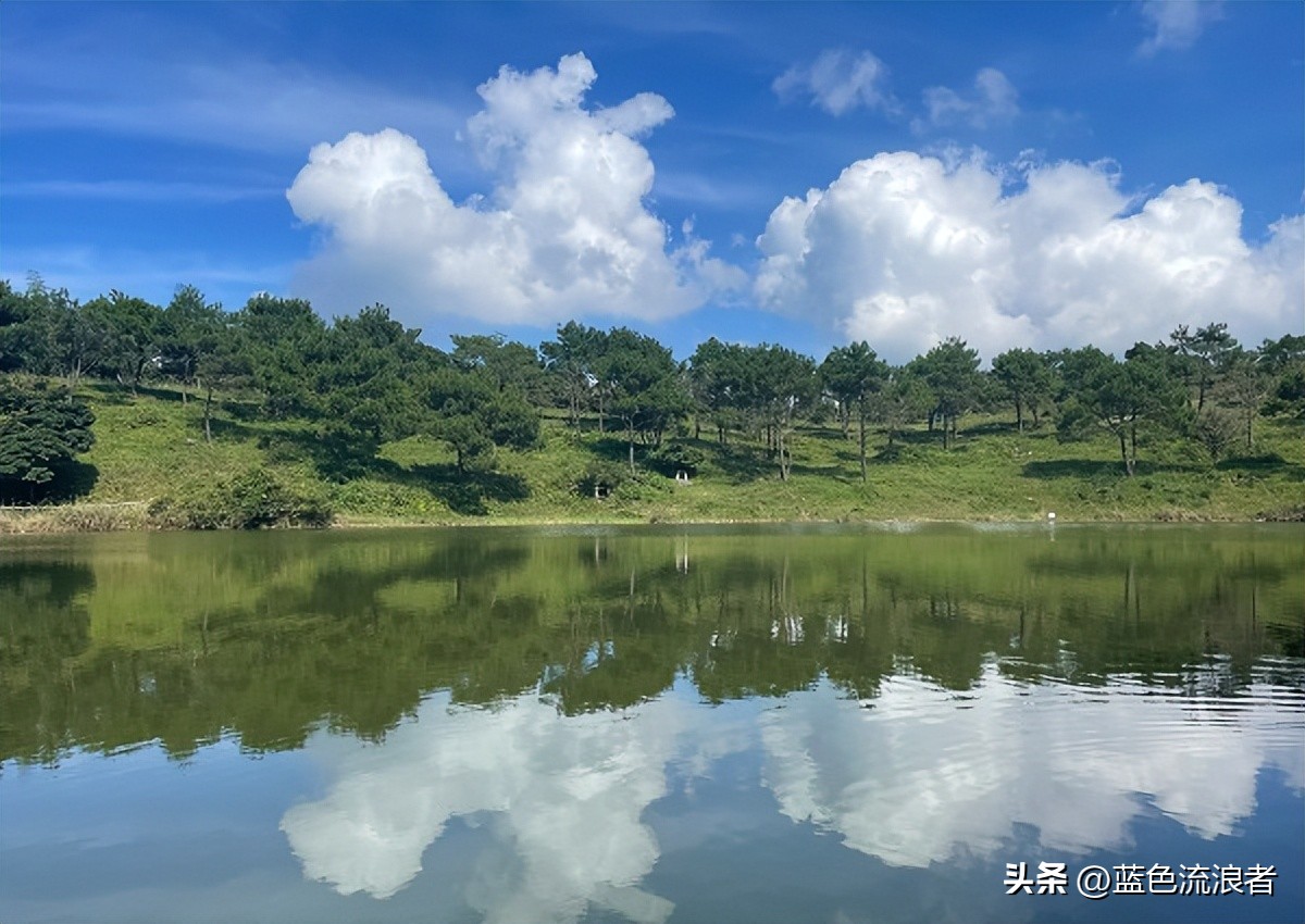 2017年福建天然氧吧,福建天然氧吧排名