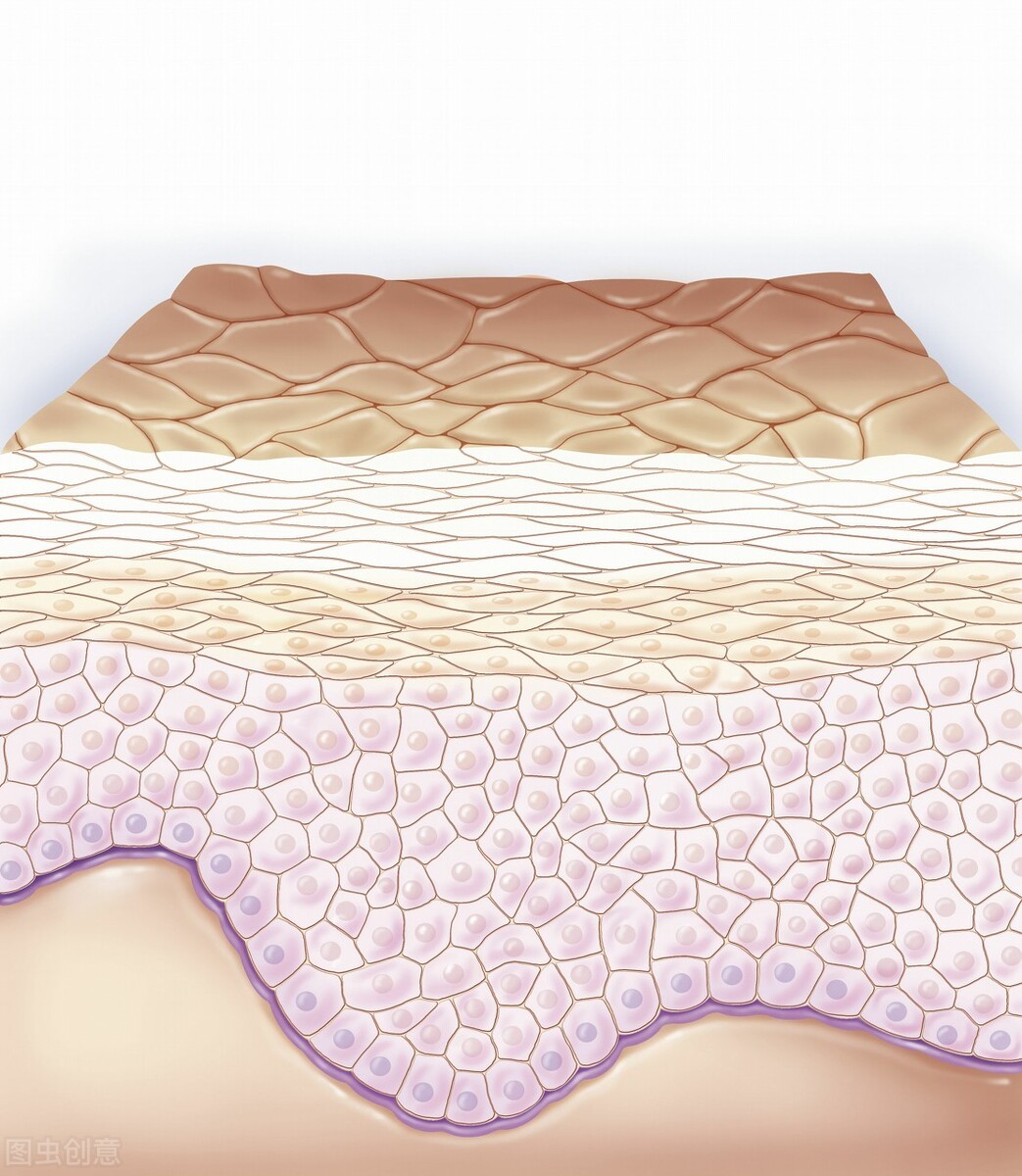 伤寒论阴阳五行六经辨证,能量运作法则