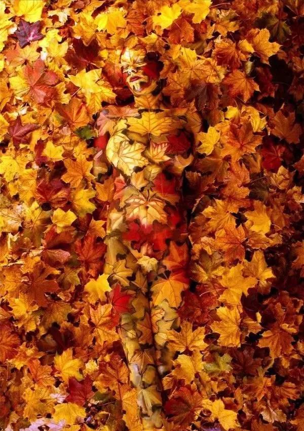 魅力绽放！探索人体艺术的绝美之处