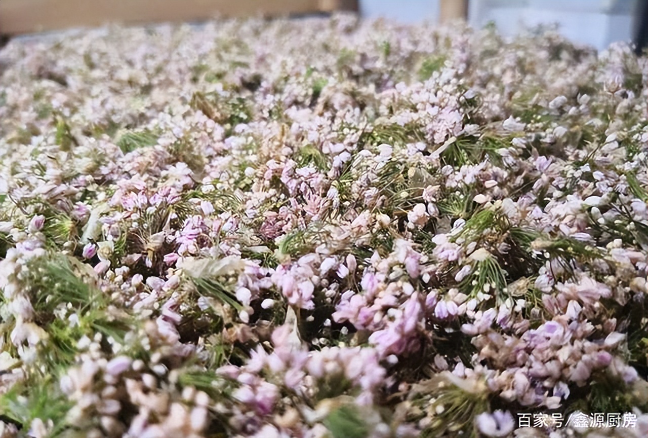 寻寻觅觅原唱完整版dj,寻寻觅觅原唱完整视频