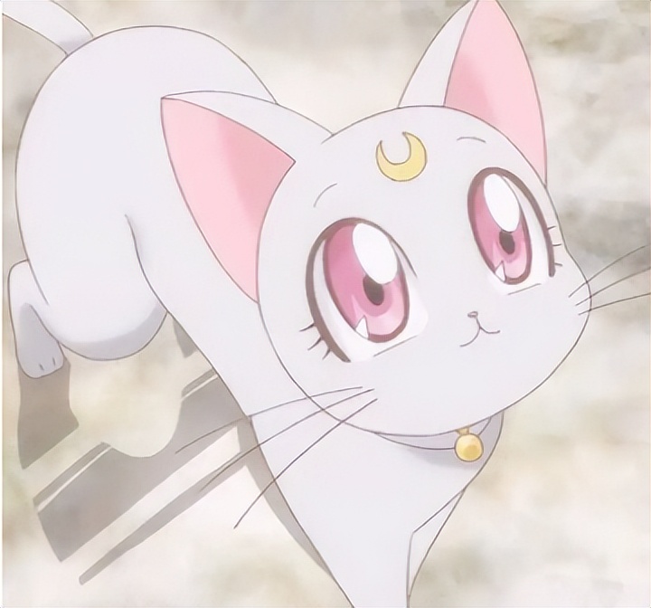 可爱治愈系的小动物动漫,动漫中可爱的动漫宠物