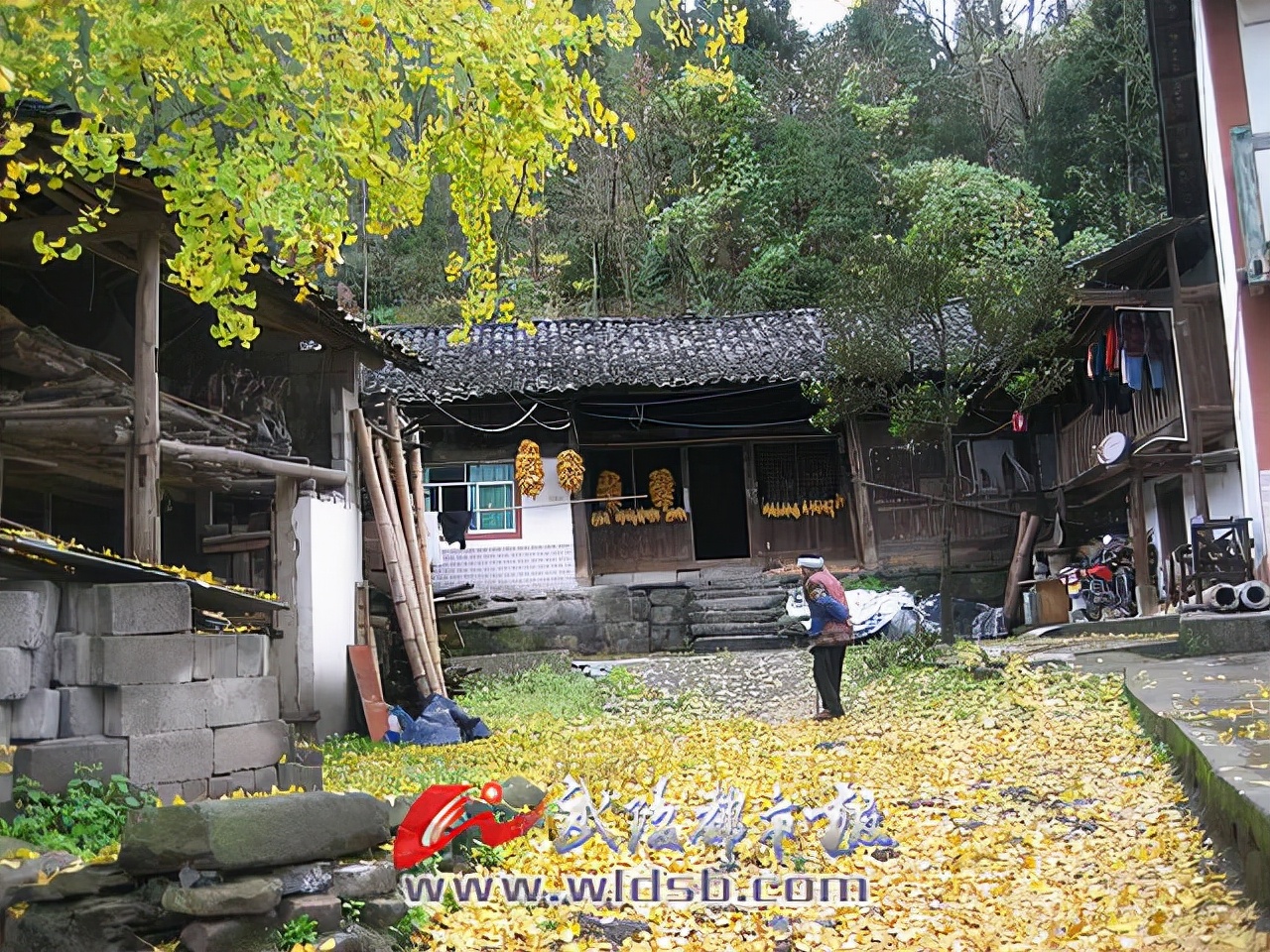 川鄂咽喉恩施,川鄂咽喉的城市