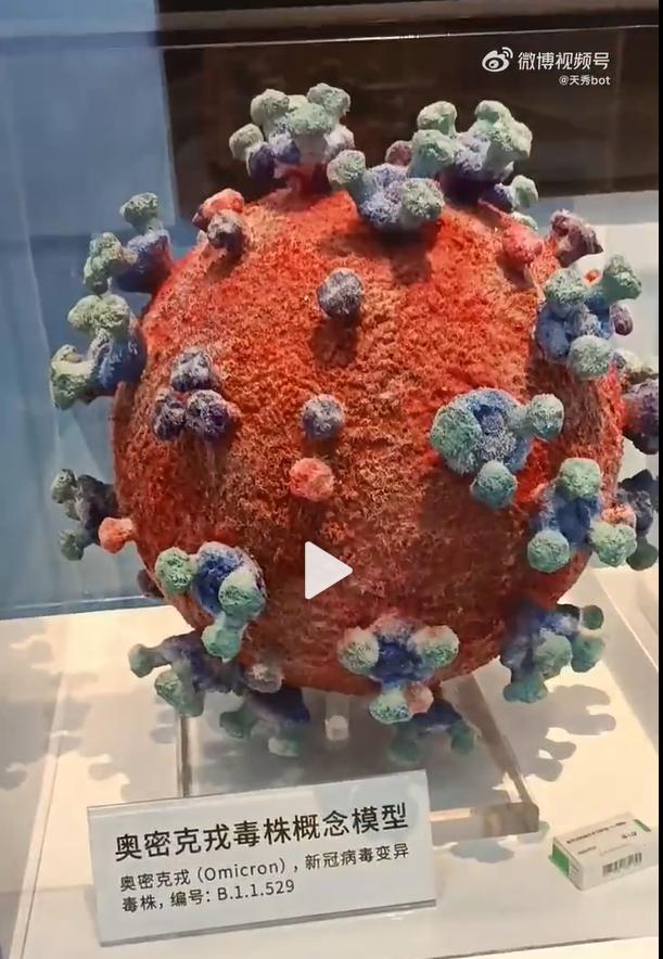 如何看待有人喊奥密克戎大人,奥密克戎大人的评论