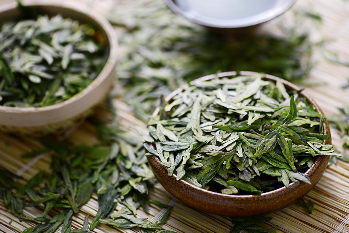 痛心的技术泄密：英国*子骗**从中国偷走两种树苗，中国损失百亿纹银