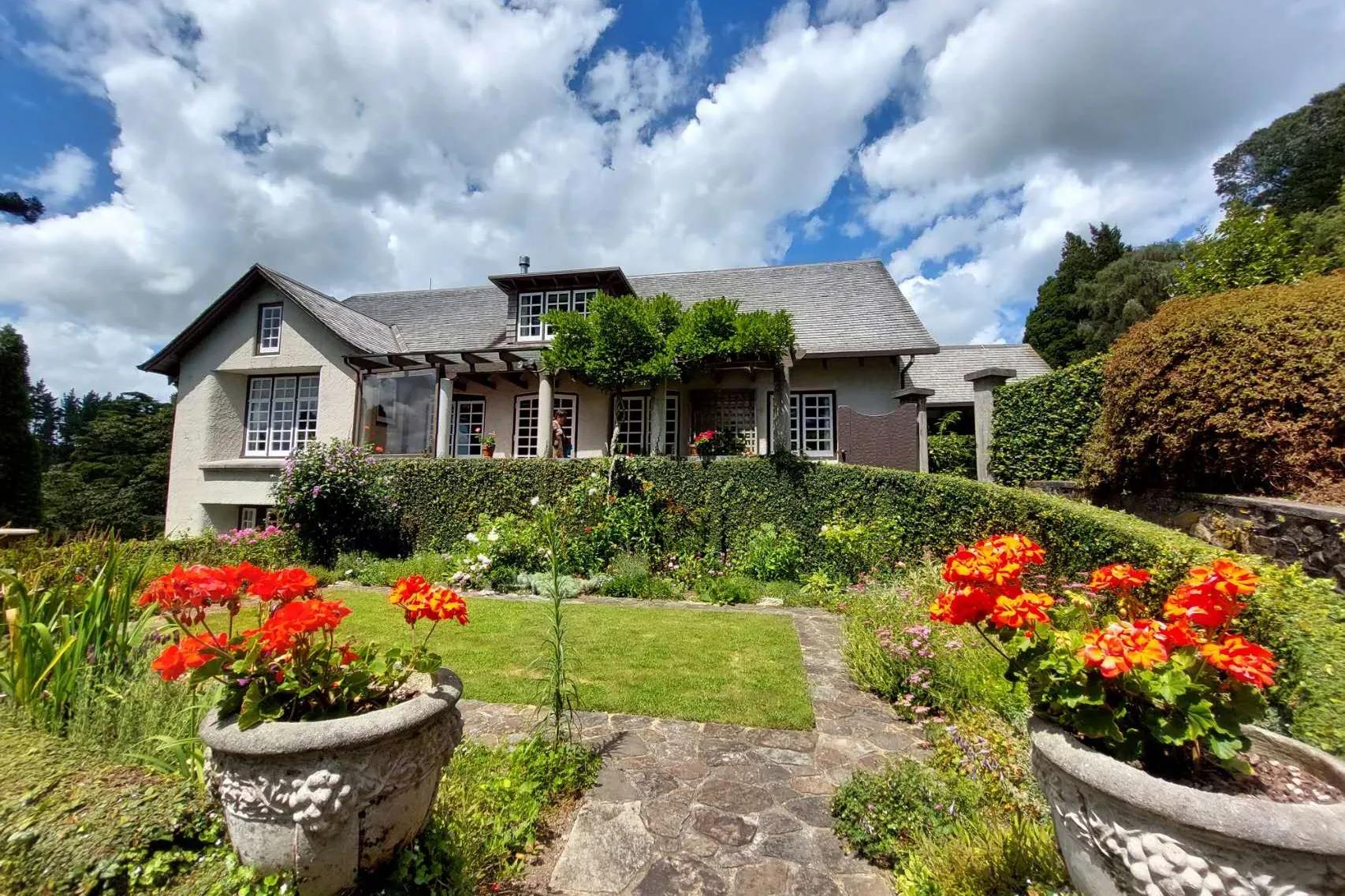 卯兔贺岁迎新纳福,卯兔新年作品