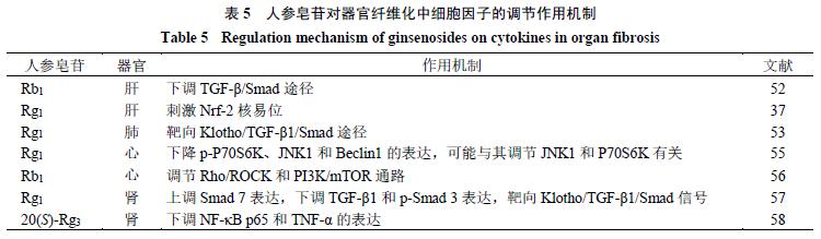 人参皂苷健脾胃,人参皂苷rh2对肺纤维化的作用
