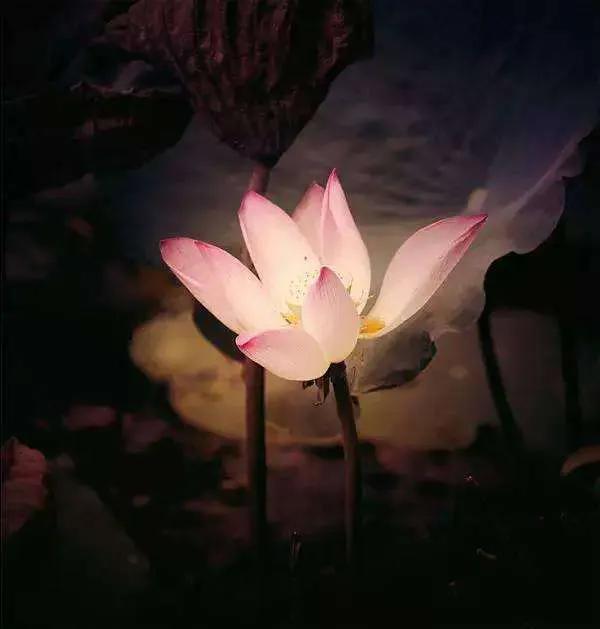 如果你的人生正处于低谷,如果你的人生迷茫没有方向